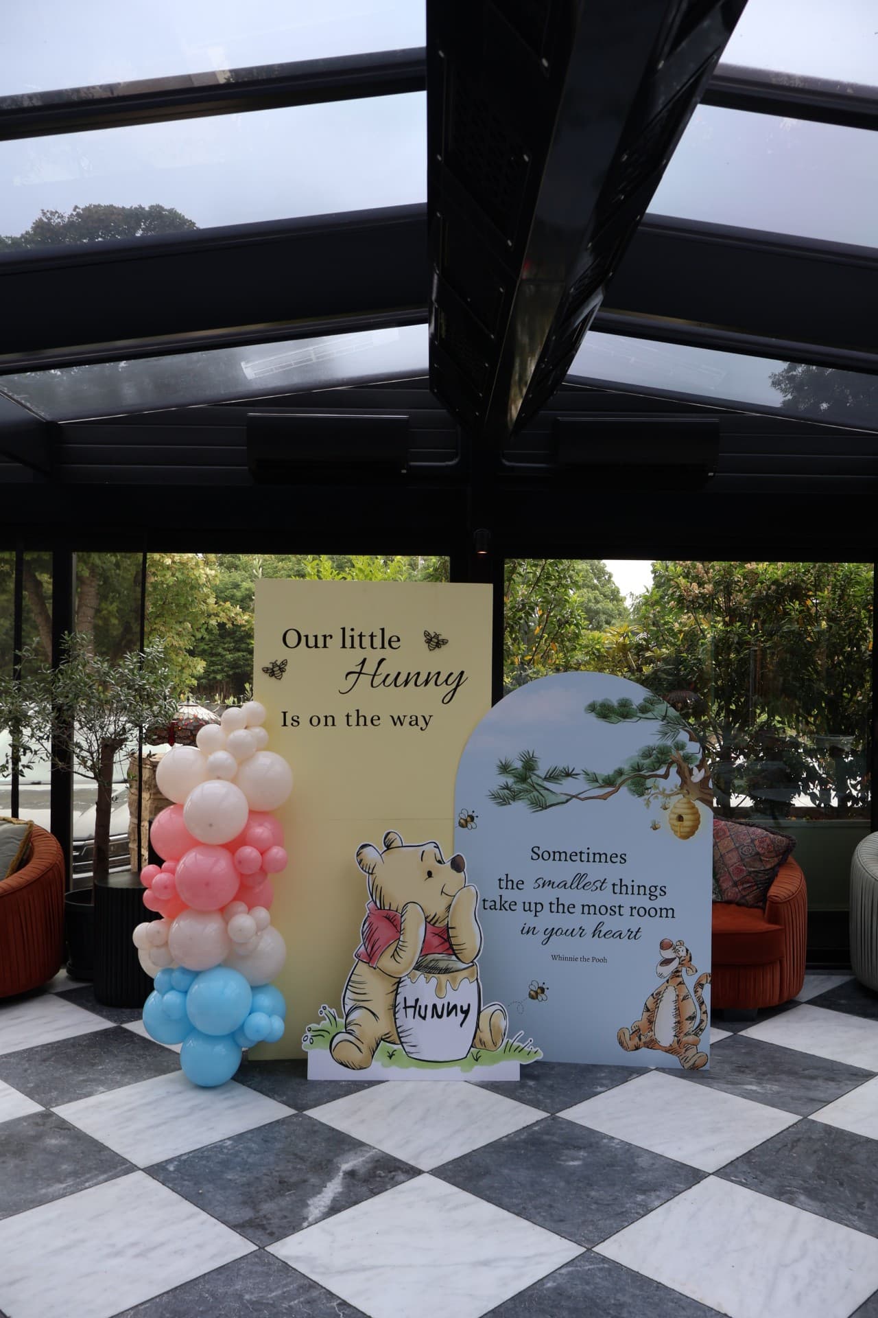 Baby Arrival 3